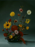 Flowers: Marigold and David Burpee Photographie par Eric Schaal
