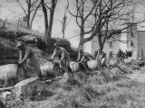 Barrels Being Rolled on Wooden Rails at Jack Daniels Distillery Photographic Print by Ed Clark