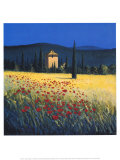Tuscan Poppies II Posters by David Short
