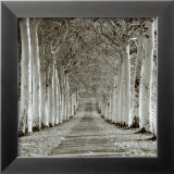Epernay, France  Art by Charlie Waite