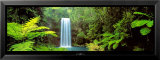 Millaa Millaa Falls, Queensland, Australia  Poster by Peter Lik