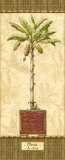 Botanical Palm IV Posters by Charlene Audrey