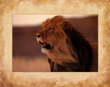 Lion  Art by Keith Levit