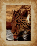 Leopard  Prints by Keith Levit
