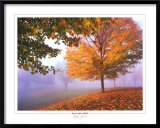 Herbstnebel Kunstdruck von Mike Jones