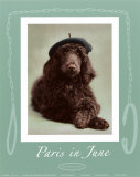 Paris in June Posters by Rachael Hale