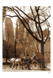 Central Park Carriage Posters by Igor Maloratsky