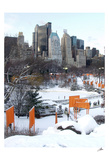 The Gates and Wollman Rink, Central Park  Art by Igor Maloratsky
