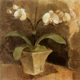 Serene Orchids II  Print by Albena Hristova