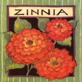 Zinnia Seed Packet Affiches par Susan Winget