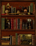 Bibliothek IV Poster von Pela 