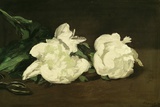 Branch of White Peonies and Secateurs, 1864 Giclee Print by Édouard Manet