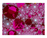 Strewn Treasure Photographic Print by Vicky Brago-Mitchell