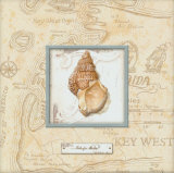 Sea Treasure I  Prints by Charlene Audrey