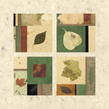 True Nature IV  Prints by Phillip Jaeger