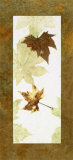 Falling Leaves I Posters by Phillip Jaeger