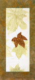 Falling Leaves II  Prints by Phillip Jaeger