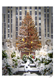 Christmas Tree at Rockefeller Center  Art by Igor Maloratsky