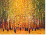 Aspen Glow Stretched Canvas Print by Gary Max Collins