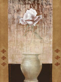 Ambient Rose  Art by Mira Latour
