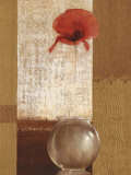 Ambient Poppy  Prints by Mira Latour