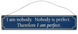 I Am Perfect Tin Sign