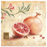 Melograno  Prints by Claudia Ancilotti