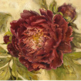 Scarlet Peony  Prints by Kathryn White