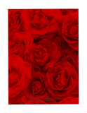 A Fleur du Mal, 1999 Sérigraphie par Marie-Jo Lafontaine