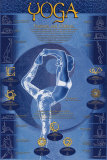 Yoga Postures & Chakras Poster