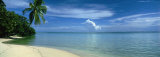 Palm Tree on a Coast, French Polynesia Photographie par Panoramic Images 