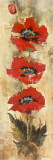 Strand of Poppies I  Prints by Elizabeth Jardine