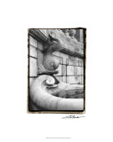 Fountain Fishes Premium Giclee Print by Laura Denardo