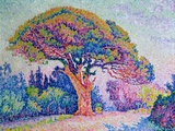 Paul Signac - The Pine Tree at St. Tropez, 1909, Giclee Print