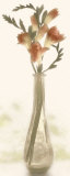 Charming Freesia Posters par Donna Geissler