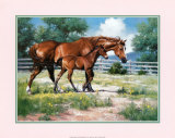 Horse and Colt Posters by Jack Sorenson