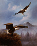 Nid d'aigle Poster par M. Caroselli