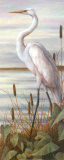 Egret  Prints by T. C. Chiu