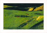 Volterra Lithografie von Holubitschka 