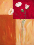 Mohn mit Siena-Braun Posters par Guenter Gohn