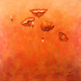 Poppy II  Prints