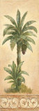 Banana Palm  Prints by Claudia Ancilotti