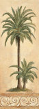 Coconut Palm  Prints by Claudia Ancilotti