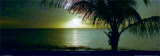 Sunset, Barbados Posters by James Red