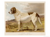 Fred Grahams Smooth St. Bernard Abbess Estampe par Charles Burton Barber