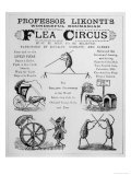 Broadsheet Advertising Professor Likonti's Romanian Flea Circus During Visit to London Giclee Print