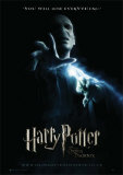 Harry Potter And The Order Of The Phoenix  Prints