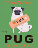Pug Orange Juice  Prints by Ken Bailey