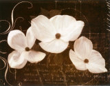 Garden Love Letter I Poster par Amy Melious