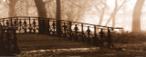 Wrought Iron Bridge Poster by Steven Mitchell